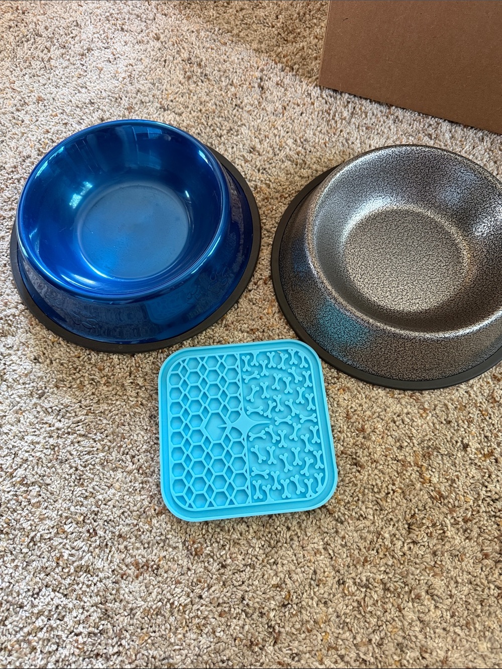 Dog Bowl Bundle